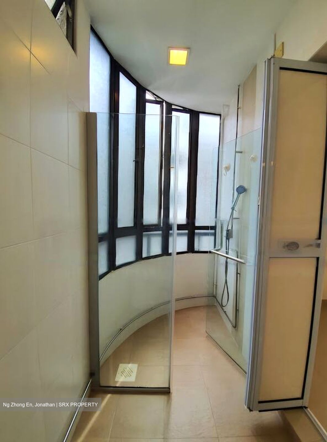 Pastoral View (D11), Apartment #458376881
